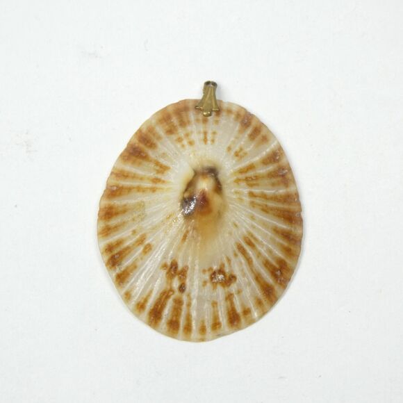 Limpet Shell Pendant Vintage 1 3/4" Seashell Natural - Picture 1 of 8